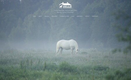 Dells Equine: Updated the site and developed a new logo for Dells Equine Veterinary Services