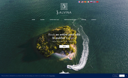SALVINA: Refonte du site, Design, Création logo