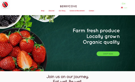 Berrycove Limited: Design and Custom Backend/Ordering Process