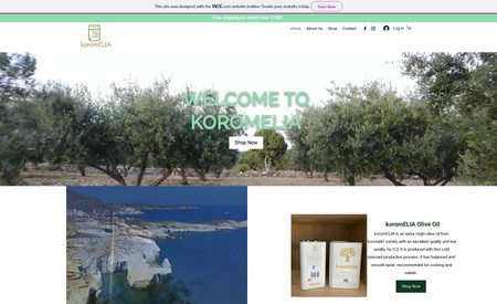 Koromelia: Created an e-commerce website that highlights the greek culture and purity of its products.