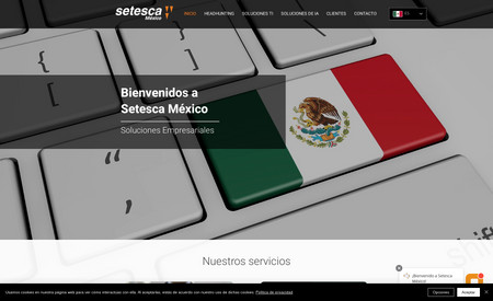 Setesca México: Diseño y desarrollo web Integral