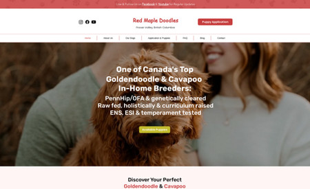 Red Maple Doodles: Website Redesign | On-Page SEO