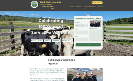 Dewitt-Blake Insurance: Website Design, Logo, Photography, Video Production, SEO.