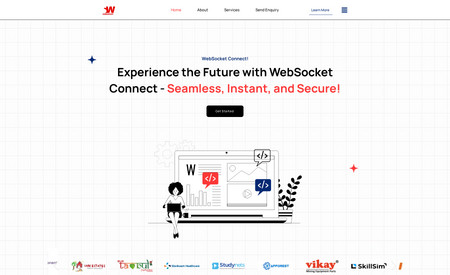 Websocket: We designed a USA-based website development company website.