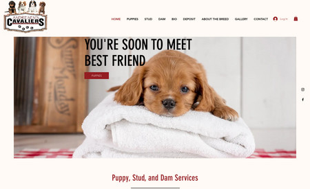 Andresens Cavaliers: New custom website for dog breeding. 