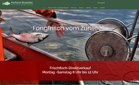 Braschler-Fische: Neukonzeption und Realisation
