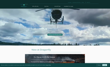 Dragonfly: New website build