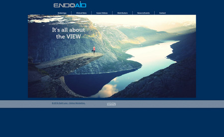 endoaid: Medical device portfolio website