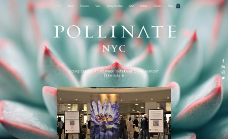 Pollinate NYC: POLLINATE is a vibrant, inspirational, multiplatform art installation
conceived by the late designer Kenny Davis.
 

It is a gift to cities across the world, starting in the heart of New York.
POLLINATE brings a message: To Live Life In Color - a reminder of the
world’s natural beauty, our need to protect and promote it, and
our privilege to live within it.