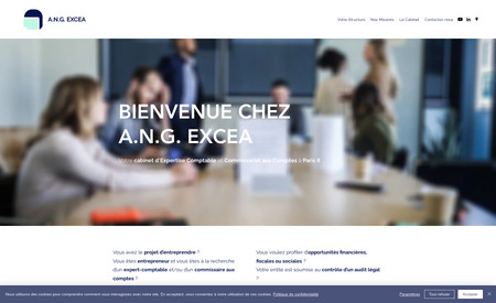 ANG Excea - Site web vitrine: Adaptation textes, création graphique, blog, optimisation SEO, gestion des réseaux sociaux (LN).