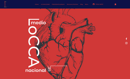 Medio LoCCa: Sitio web de organización sin fines de lucro. Contiene blog, chat en vivo, formulario, términos y condiciones, política de privacidad, entre otros.