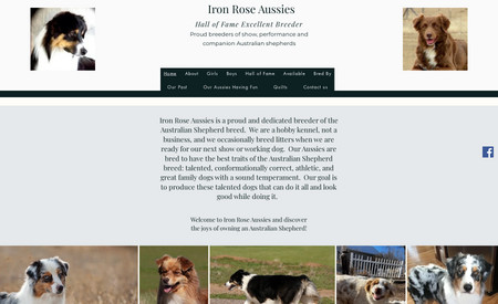 Iron Rose Aussies: Iron Rose Aussies are proud and dedicated breeders of the Australian shepherd breed. 