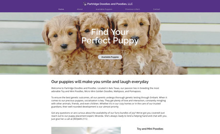 Partridge Doodles: Customer needed a new website to diplay their puppies and also make it easier for her to update and post new litters. She loved the results.