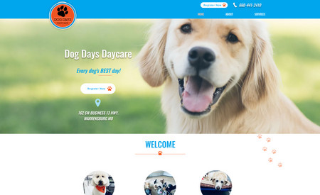 Dog Days Daycare: 